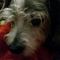 Find Janna Leigh Bevins Phone Number, Location, Email, and more on Intelius
