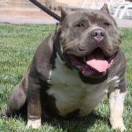 Find Jason B Harrison Phone Number, Location, Email, and more on Intelius
