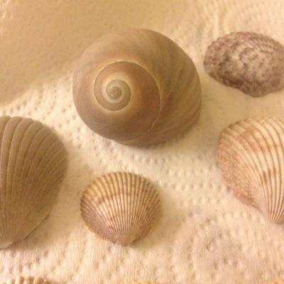 Find Jason A Weippert Phone Number, Location, Email, and more on Intelius