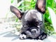 Find Jay Benson Whitmore Phone Number, Location, Email, and more on Intelius