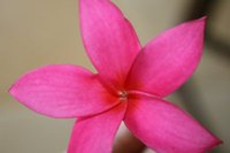 Find Jeanette Gillick Phone Number, Location, Email, and more on Intelius