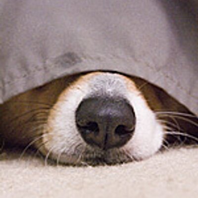 Find Jeff Charles Dillon Phone Number, Location, Email, and more on Intelius