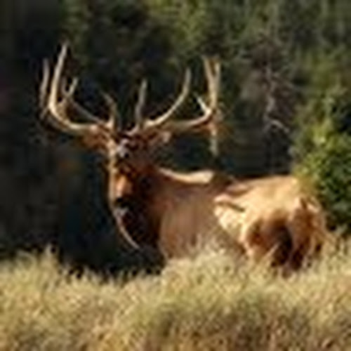 Find Jeff L Lerwill Phone Number, Location, Email, and more on Intelius