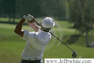 Find Jeff David White Phone Number, Location, Email, and more on Intelius