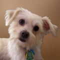 Find Jeffrey Brian Gipson Phone Number, Location, Email, and more on Intelius