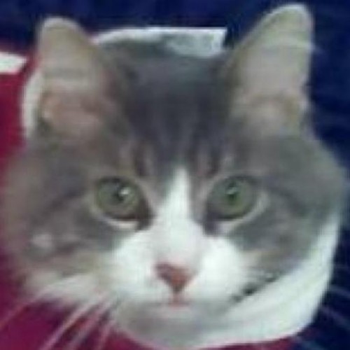 Find Jeffrey John Schmidt Phone Number, Location, Email, and more on Intelius