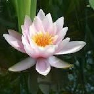 Find Jennifer A Jenks Phone Number, Location, Email, and more on Intelius