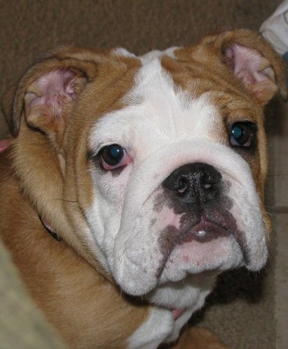 Find Jennifer Lynn Kilpatrick Phone Number, Location, Email, and more on Intelius