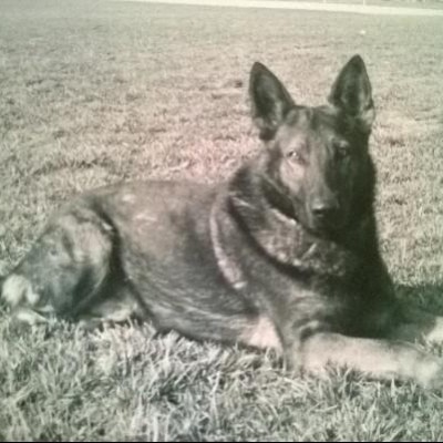 Find Jennifer R Racacho Phone Number, Location, Email, and more on Intelius