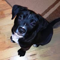 Find Jennifer Lynn Smith Phone Number, Location, Email, and more on Intelius