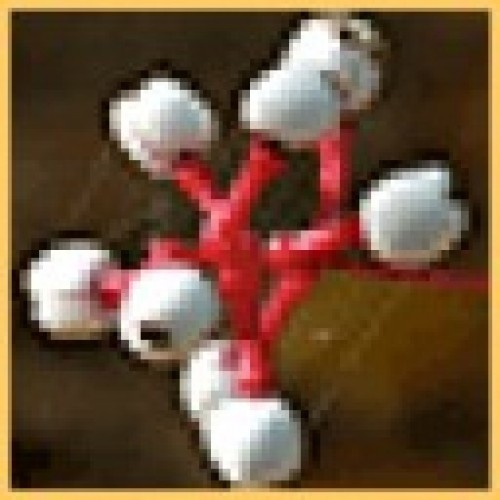 Find Jennifer J Wright Phone Number, Location, Email, and more on Intelius