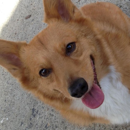 Find Jerome Chiuen Chen-Chan Phone Number, Location, Email, and more on Intelius