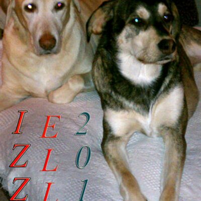 Find Jeromy Edward Harrison Phone Number, Location, Email, and more on Intelius