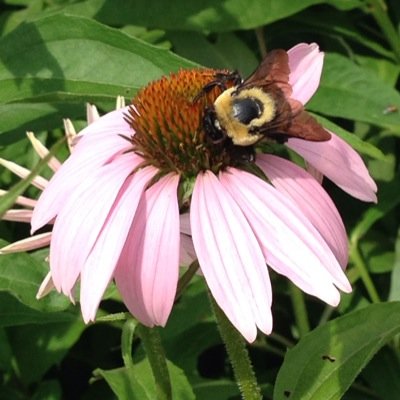 Find Jessica L Rentfro Phone Number, Location, Email, and more on Intelius