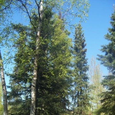 Find Jillian Soshnin Phone Number, Location, Email, and more on Intelius
