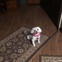 Find Joan Marie Hamilton Phone Number, Location, Email, and more on Intelius