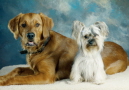 Find Joan B Hellandsjo Phone Number, Location, Email, and more on Intelius