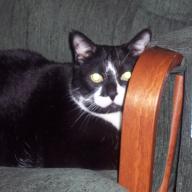Find Joanne J Tacury Phone Number, Location, Email, and more on Intelius