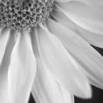 Find Jodi Dowden Phone Number, Location, Email, and more on Intelius