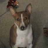 Find Joe D Collins Phone Number, Location, Email, and more on Intelius