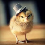 Find John Darrell Baldi Phone Number, Location, Email, and more on Intelius