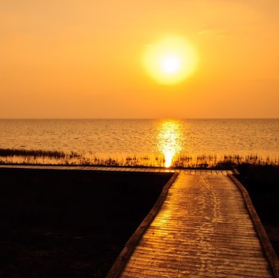 Find John L Boyd Phone Number, Location, Email, and more on Intelius