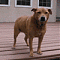 Find John Bressler Phone Number, Location, Email, and more on Intelius