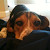 Find John D Collins Phone Number, Location, Email, and more on Intelius