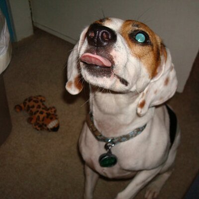Find John M Cuber Phone Number, Location, Email, and more on Intelius