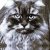 Find John Edward Goff Phone Number, Location, Email, and more on Intelius