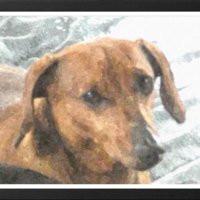 Find John R Griffith Phone Number, Location, Email, and more on Intelius