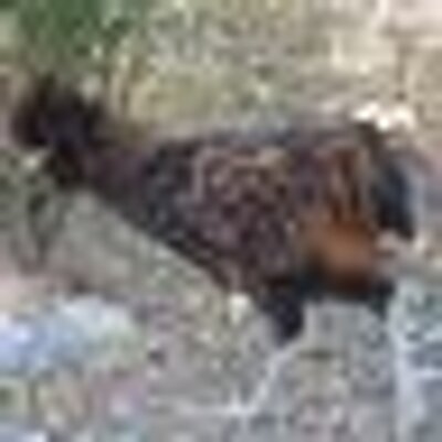 Find John Brent Hensarling Phone Number, Location, Email, and more on Intelius
