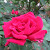 Find John E Johnson Phone Number, Location, Email, and more on Intelius