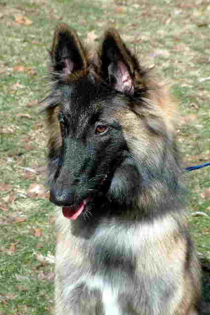 Find John Miklos Lukacs Phone Number, Location, Email, and more on Intelius
