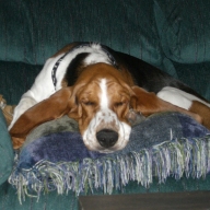 Find John A Macdougall Phone Number, Location, Email, and more on Intelius