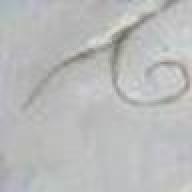 Find John N Mcleod Phone Number, Location, Email, and more on Intelius
