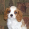Find John Anthony Murphy Phone Number, Location, Email, and more on Intelius