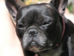 Find John J Tish Phone Number, Location, Email, and more on Intelius