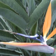 Find John Paul Valencia Phone Number, Location, Email, and more on Intelius