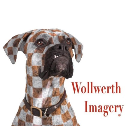 Find John Henry Wollwerth Phone Number, Location, Email, and more on Intelius