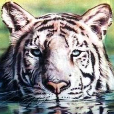Find Johnny Lee Mitchell Phone Number, Location, Email, and more on Intelius