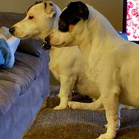 Find Jon R Vanmeter Phone Number, Location, Email, and more on Intelius
