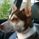 Find Jonathan K Enriquez Phone Number, Location, Email, and more on Intelius