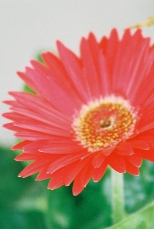 Find Jonelle R Baltzer Phone Number, Location, Email, and more on Intelius