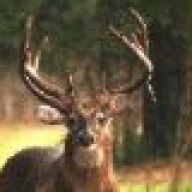 Find Jose L Mora Phone Number, Location, Email, and more on Intelius