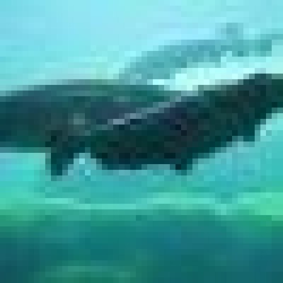 Find Joseph A Atkinson Phone Number, Location, Email, and more on Intelius