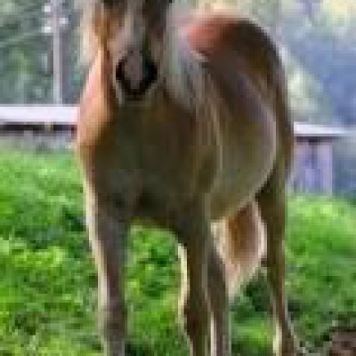 Find Joseph Robert Howards Phone Number, Location, Email, and more on Intelius