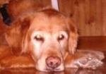 Find Joseph J Weber Phone Number, Location, Email, and more on Intelius