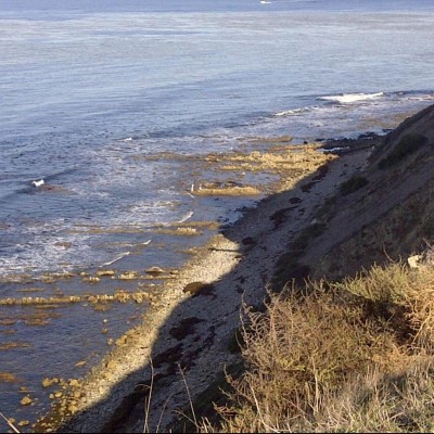 Find Juan Manuel Zamarripa Phone Number, Location, Email, and more on Intelius