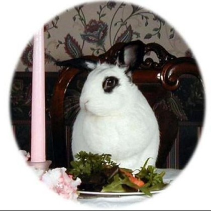 Find Judith Regina Pearce Phone Number, Location, Email, and more on Intelius